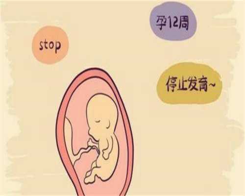 昆明供卵试管等待期有多久？供卵来源与排队规则科普