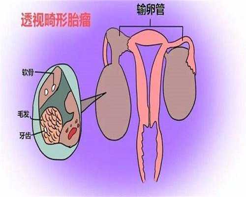 昆明供卵助孕实录：封闭抗体阴性的好孕逆袭路